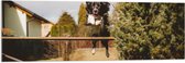 Acrylglas - Dieren - Hond - Tuin - Planten - Springen - 120x40 cm Foto op Acrylglas (Met Ophangsysteem)