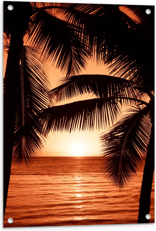 Tuinposter – Bomen - Palmbomen - Zee - Zonsondergang - Oranje - 60x90 cm Foto op Tuinposter (wanddecoratie voor buiten en binnen)