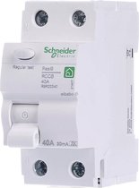 Schneider Electric R9R22240 Disjoncteur différentiel A 40 A 0,03 A 230V