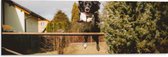 Dibond - Dieren - Hond - Tuin - Planten - Springen - 90x30 cm Foto op Aluminium (Wanddecoratie van metaal)