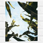 Muursticker - Lucht - Wolken - Plant - Bladeren - Kleuren - 30x40 cm Foto op Muursticker