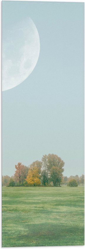 Vlag - Bomen - Gras - Kleuren - Maan - Landschap - 20x60 cm Foto op Polyester Vlag