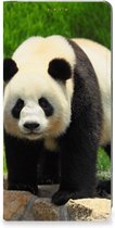Hoesje Xiaomi Redmi Note 12 Pro Plus Telefoontas Panda