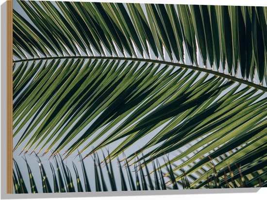 Set van 4 Palmbladeren - Tropische Decoratie voor Feestjes - Zorg voor
