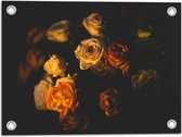 Tuinposter – Bloemen - Rozen - Donker - 40x30 cm Foto op Tuinposter (wanddecoratie voor buiten en binnen)