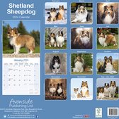 Sheltie - Shetland Sheepdog Kalender 2024