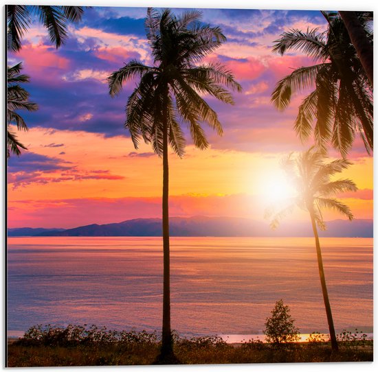 Dibond - Zonsondergang in de Zee bij Hoge Palmbomen - 50x50 cm Foto op Aluminium (Wanddecoratie van metaal)