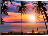 Dibond - Zonsondergang in de Zee bij Hoge Palmbomen - 80x60 cm Foto op Aluminium (Met Ophangsysteem)