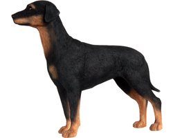 Hondenbeeldje Doberman Pinscher Hond (Dog) hondenbeeldje , figuur Doberman