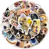 Grappige Honden stickers - 50 stuks - Meme dogs set voor laptop, tablet, smartphone, muur, agenda etc.