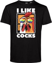 T-shirt I Like Cocks | Gay pride shirt kleding | Regenboog kleuren | LGBTQ | Zwart | maat S