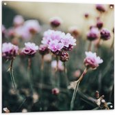 Tuinposter – Bloemen - Veld - Landschap - Natuur - Roze - 100x100 cm Foto op Tuinposter (wanddecoratie voor buiten en binnen)
