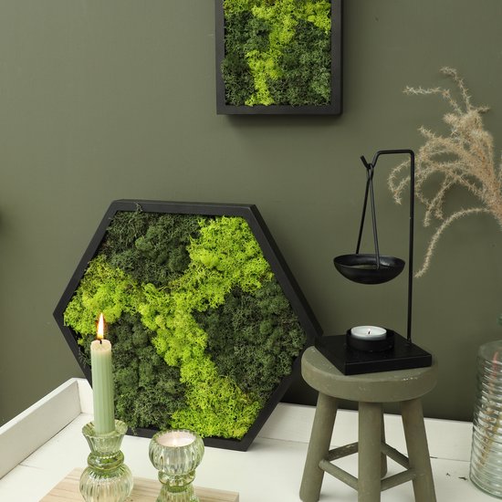 Zeshoekig moskunstwerk met verschillende tinten groen mos in een zwart frame, naast planten en kaarsen.