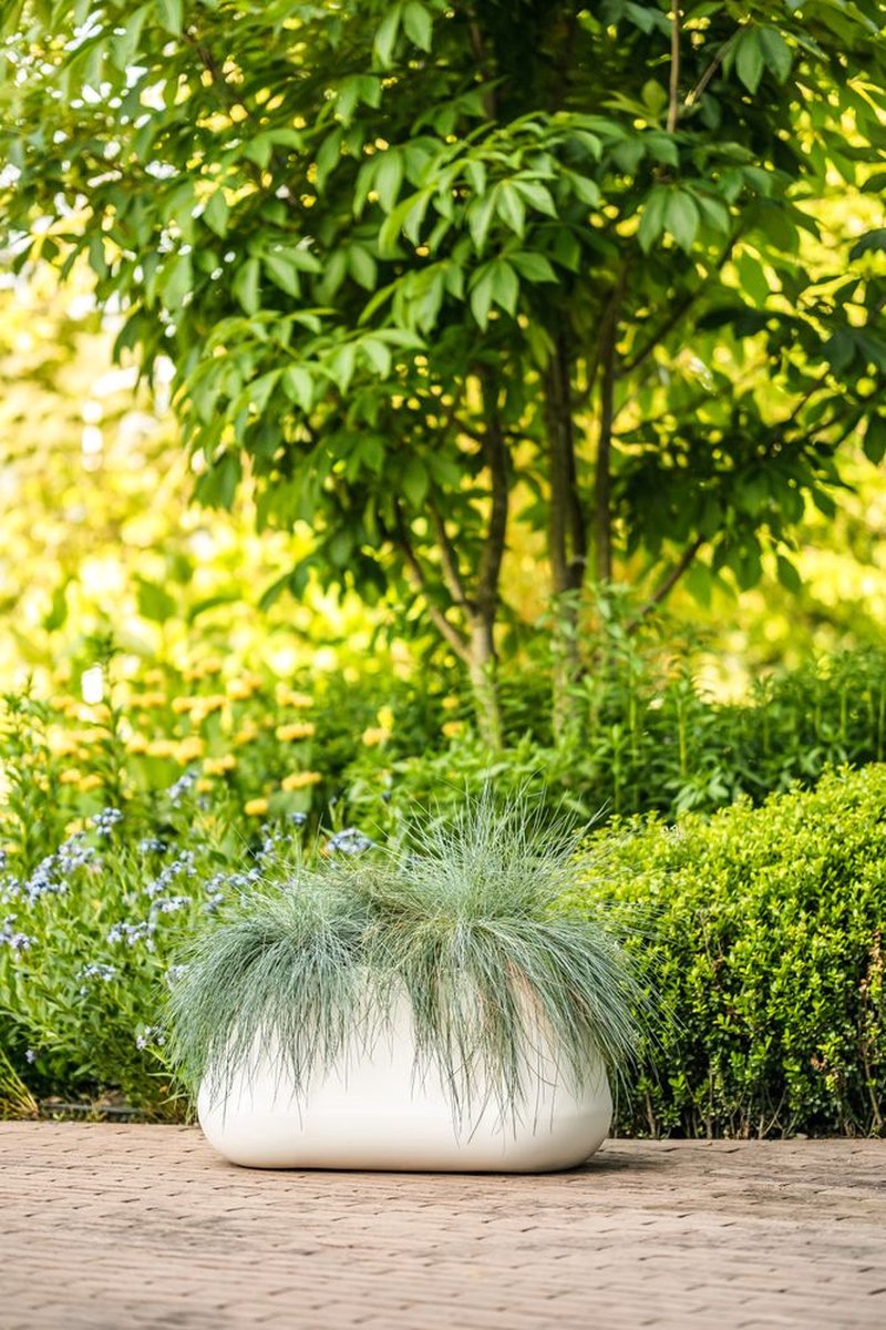 Elho Pure Cone Long Wheels 75 - Grande jardinière intérieur et extérieur