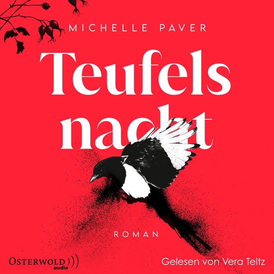 Teufelsnacht - cover