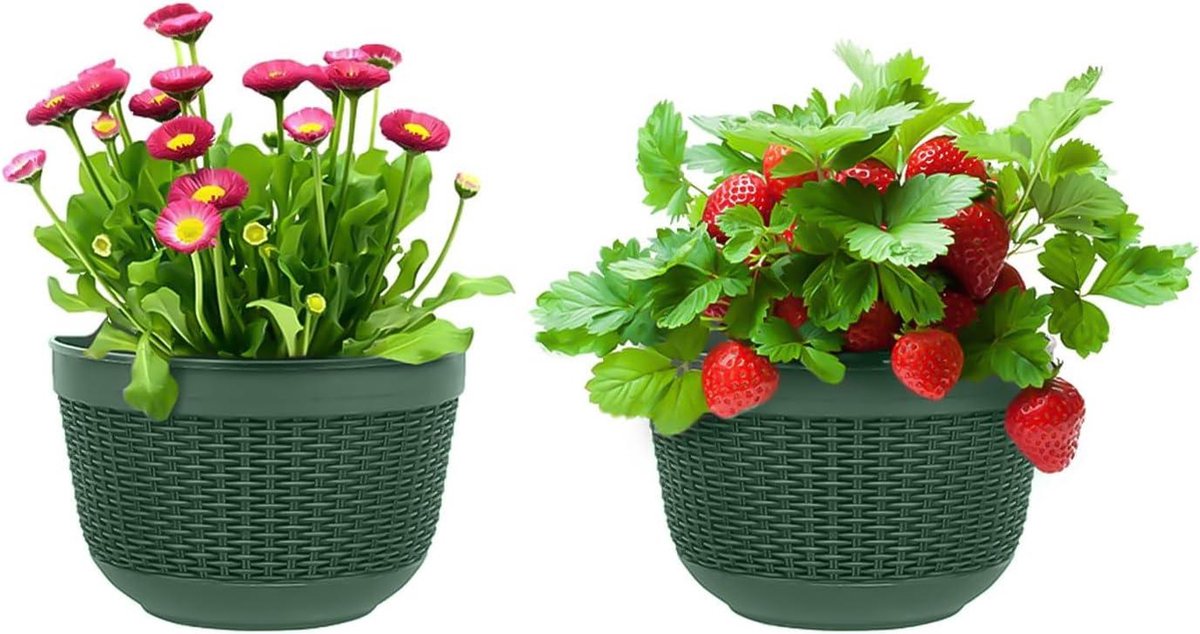 Macramé hangende bloemenmand voor binnen, set van 2 Boho decoratie