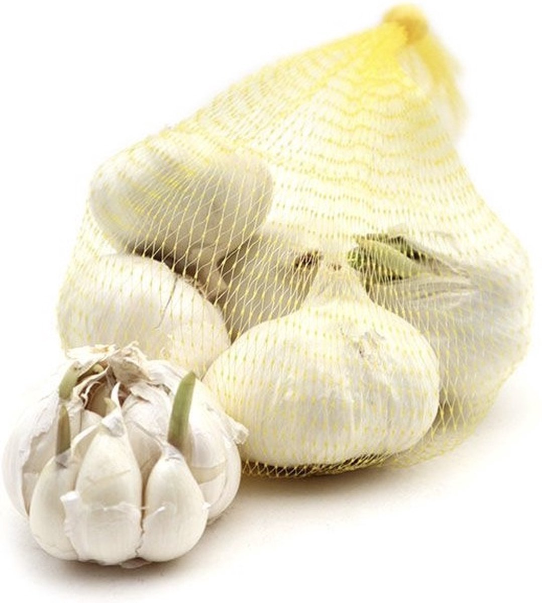 Plantknoflook wit - 3 bollen