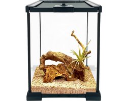 Groei en Verzorging van Reptielen Terrarium Kit met UVB Lamp Reptielenverblijf