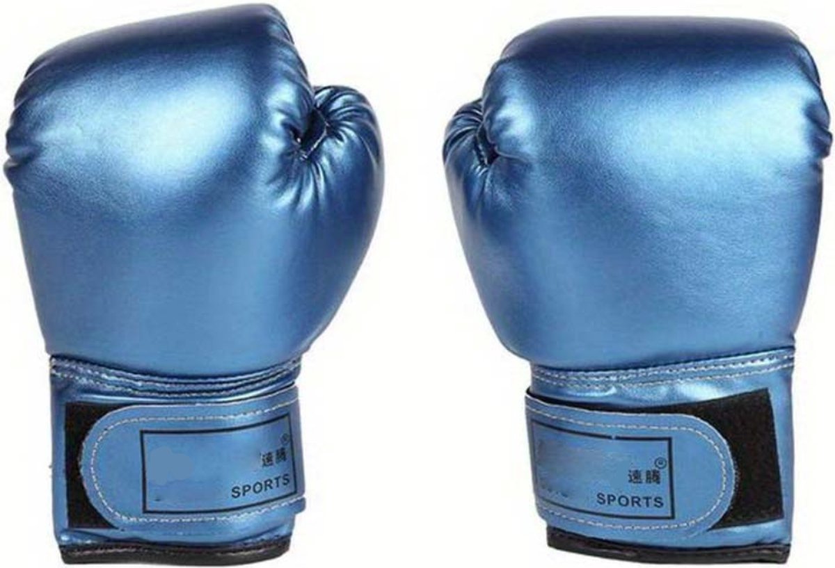 Bovista Vecht Handschoenen - Kickboks Handschoenen - Boxing Gloves Set - Bokshandschoenen - Heren - Dames - Blauw