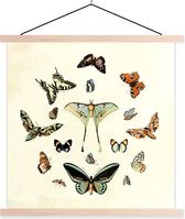Affiche scolaire - Papillon - Animaux - Vintage - 60x60 cm - Lattes vierges