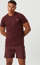 Björn Borg Ace T-shirt stripe - bruin