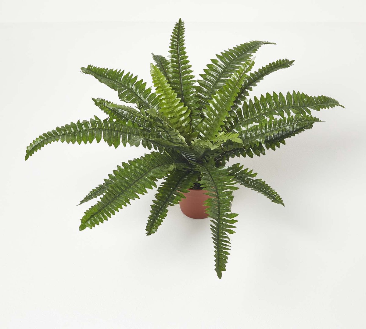 Homescapes kunstplant Nephrolepis Exaltata, kunstzwaardvaren in pot, 45 cm hoog Groen