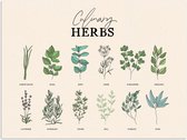 Affiche 40x30 cm - Herbes - Plantes - Herbes - Vert - Vintage - Posters - Décoration murale cuisine - Décoration murale murale salon - Accessoires décoratifs - Décoration murale chambre