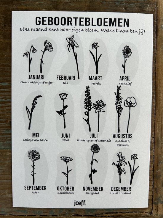 Créations d'Ici - Fleur de naissance avec coeur en bois - Jonquille - Décembre - MDF Zwart - Bois