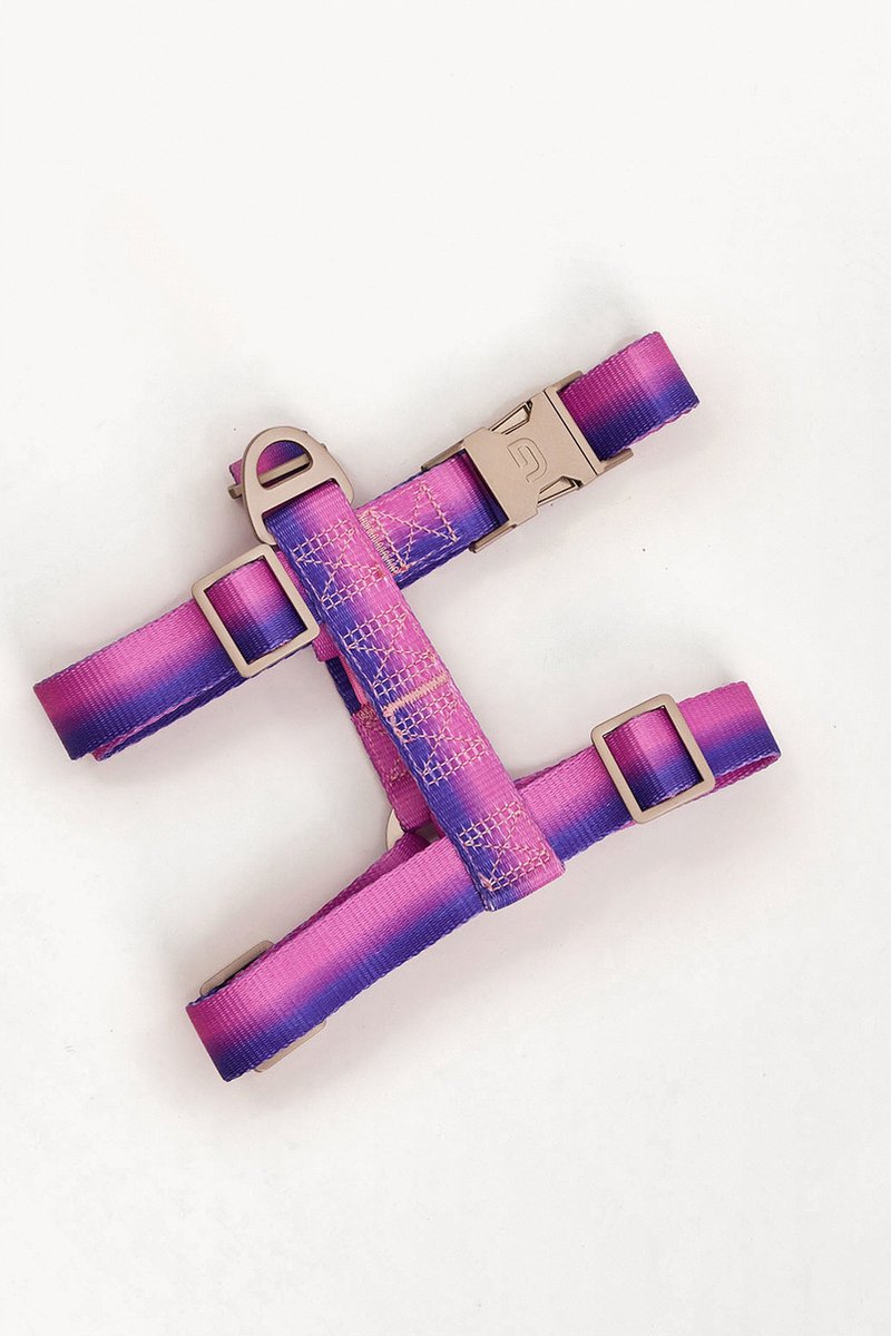 Dogguo Gradient Harnas Paars&Pink - Hondentuig - S Kleine Honden