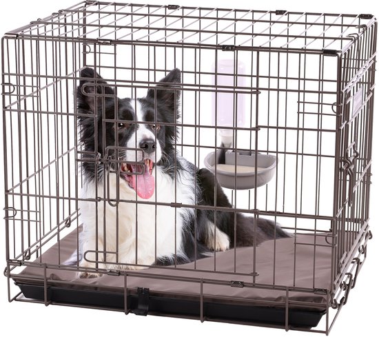 Een zwart-witte bordercollie met tong uit de mond, zittend in een donkere metalen bench met een grijze drinkbak met fles.