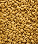 Grote hoeveelheid NutriBird P15 Original pellets op een witte achtergrond.
