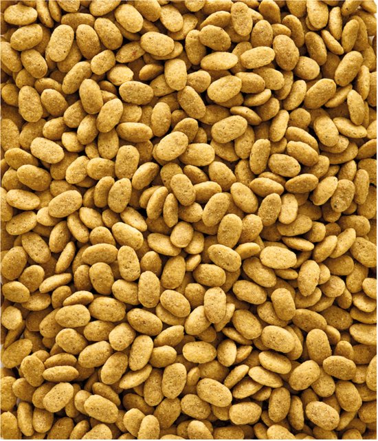 Grote hoeveelheid NutriBird P15 Original pellets op een witte achtergrond.