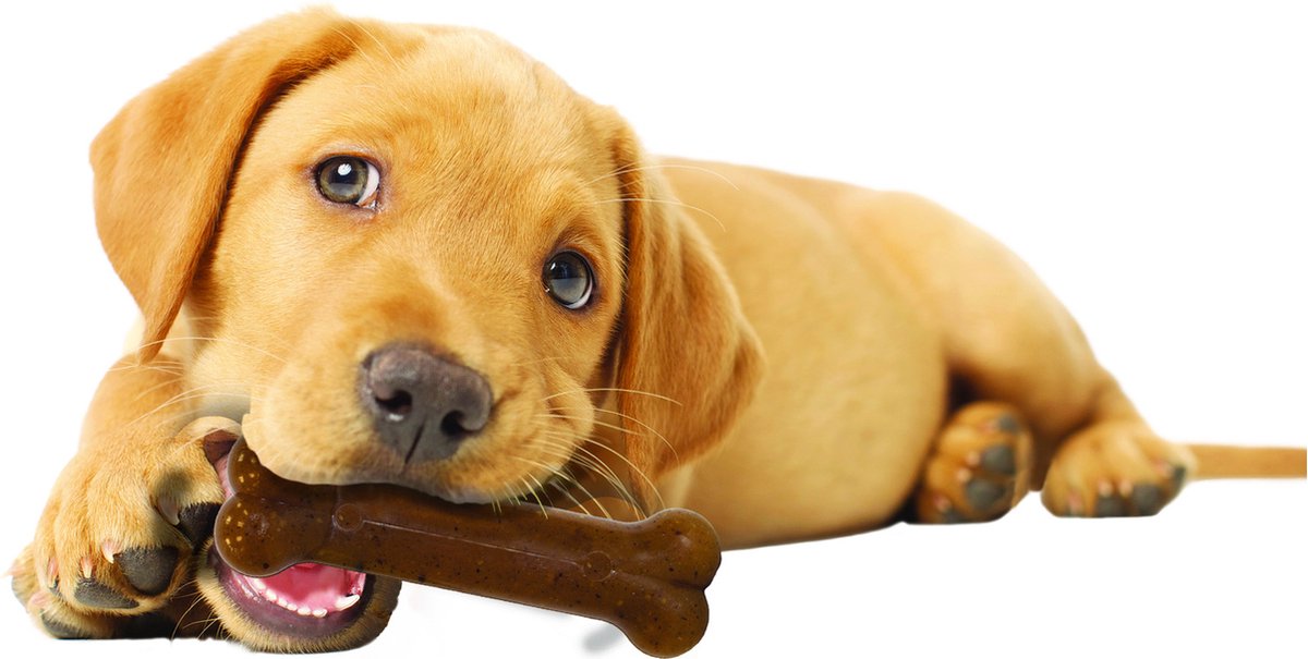Nylabone Puppy Bone Flexible Bruin - Hondenspeelgoed - Medium Tot 16kg thumbnail 2