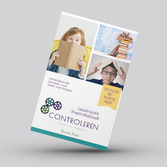 LeesInzicht Inspiratieboek Controleren - Verbeter de kernvaa ... - cover