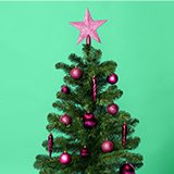 Kerst, Dier, Tuin & Klussen