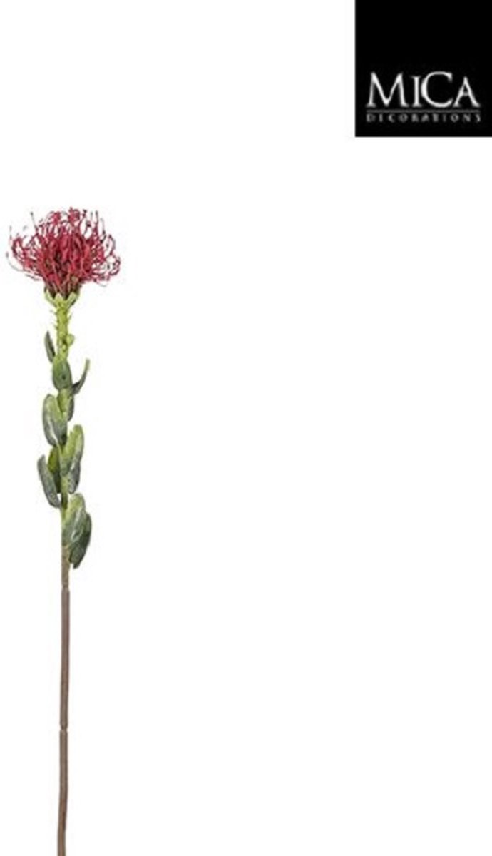 Mica Decorations - Kunstbloem - Protea bordeaux - l61cm