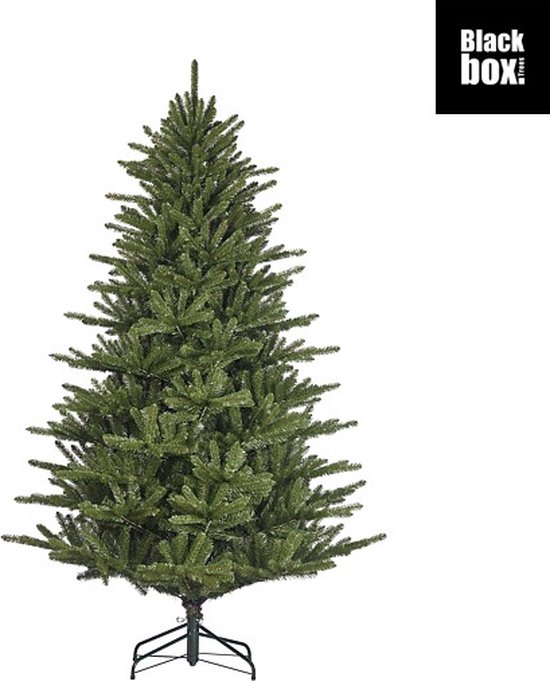 Sapin De Noël Artificiel Triumph Tree Bristlecone Avec Lumières LED Intégrées – 215 Cm De Haut – Vert Foncé – Branches PVC Réalistes