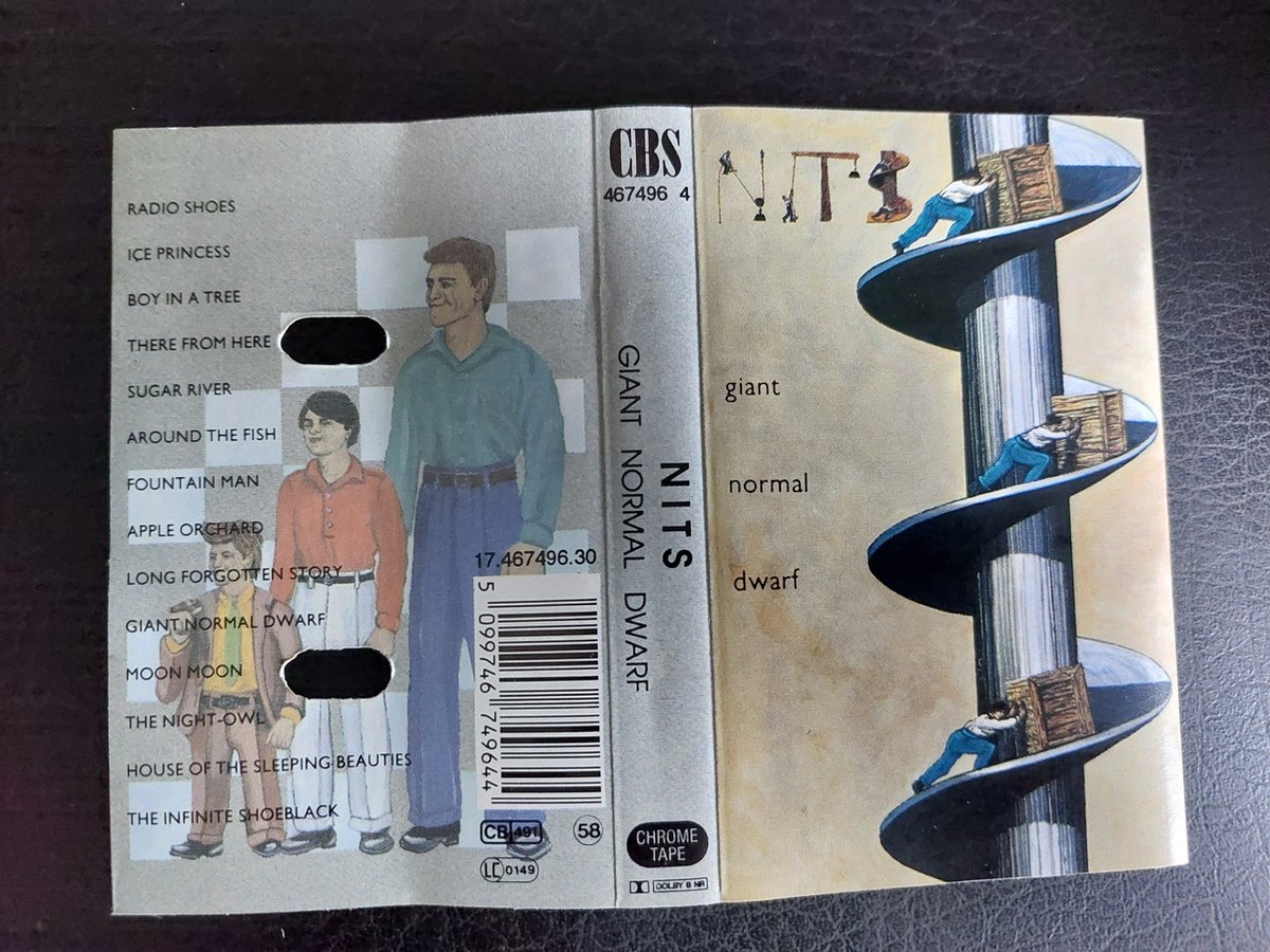 NITS - GIANT NORMAL DWARF (CASSETTEBANDJE)