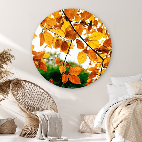 WallCircle - Wall Circle - Wall Circle Indoor - Feuilles d'Automne - Arbre - Rural - 120x120 cm - Décoration murale - Peintures Ronds XXL