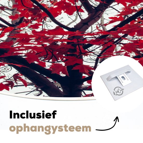 WallCircle - Wall Circle - Wall Circle Indoor - Esdoorn - Feuilles - Automne - Nature - 120x120 cm - Décoration murale - Peintures Ronds XXL