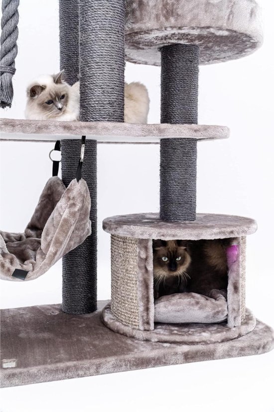 Arbre à chat Lexium pour chats lourds - Arbre à chat pour grands chats - Arbre à chat robuste - Convient aux chats de grande taille et lourds