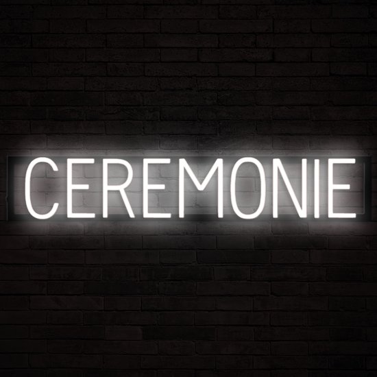 Neon Lamp - Waterijsje - USB - 25 X 12 Cm - View #7