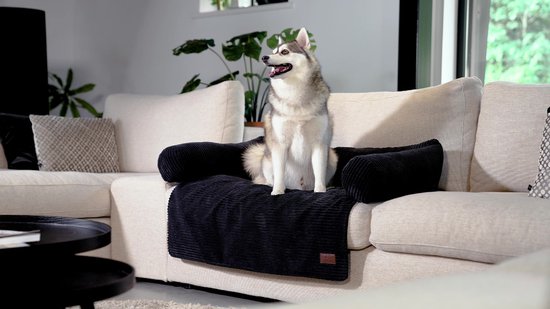 Designed by Lotte Bankkussen Ribbed - Hondenkussen - Licht Grijs - 70x50 cm