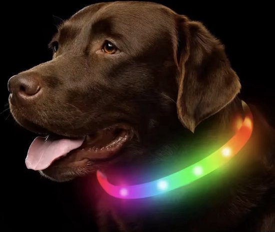 Collier LED Lumineux pour Chien - Taille L - Siècle des Lumières Laisse pour Chien Rechargeable - Entièrement réglable jusqu'à 65 cm - Colliers Lumineux pour Chien - Siècle des Lumières LED avec plusieurs modes - Multicolore
