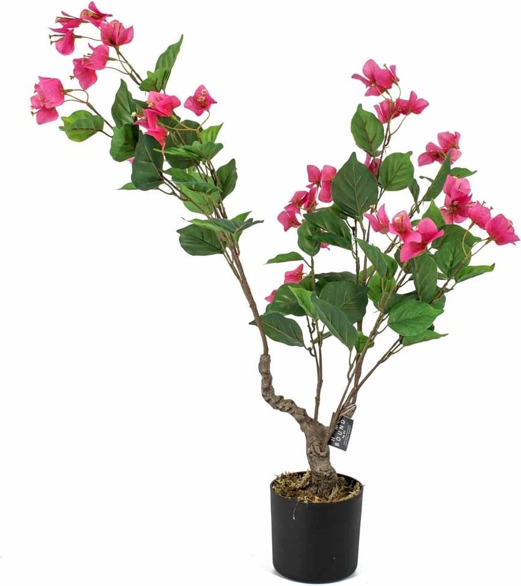 Fake plant