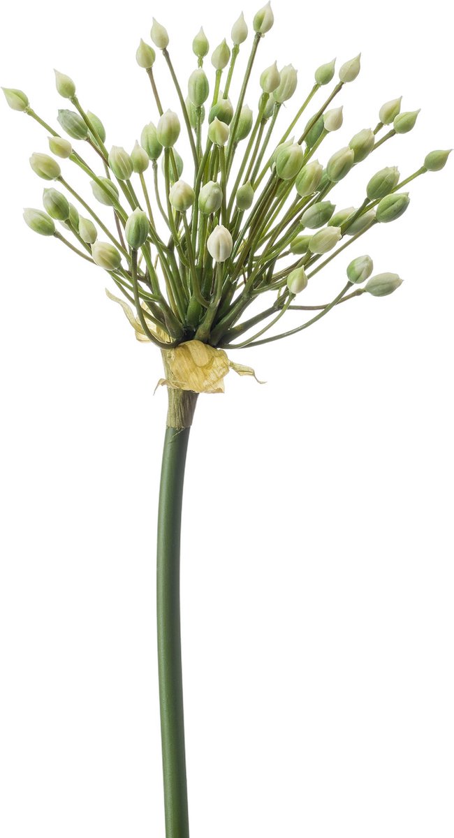 Emerald - Kunstbloem Allium bloemknoppen 70cm wit - Kunstplant voor binnen