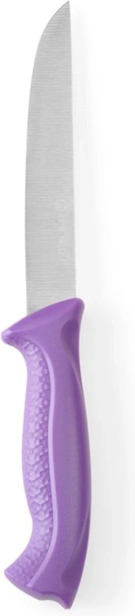 HENDI Vleesmes – Paars handvat – HACCP richtlijnen – 280 mm