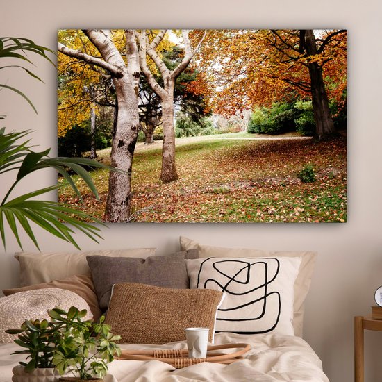 Tableau sur toile Automne - Arbres - Feuilles - nature - 140x90 cm - Décoration murale