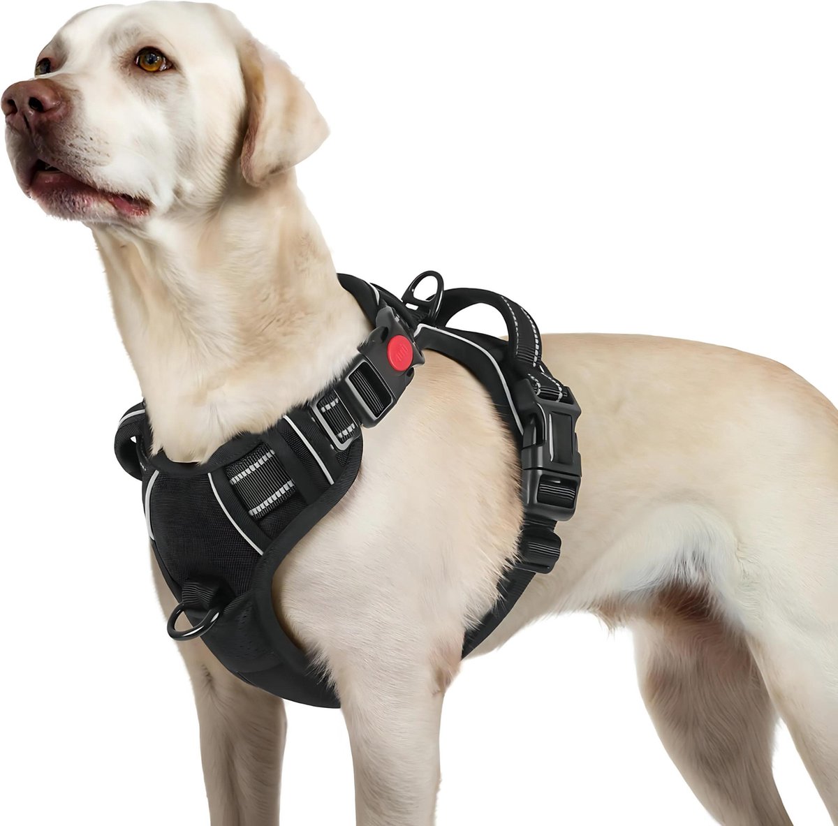 Bol.com JAXY Hondenharnas - Hondentuig - Hondentuigje Kleine Hond - Y Tuig Hond - Harnas Hond - Anti Trek Tuig Hond - Reflectere... aanbieding