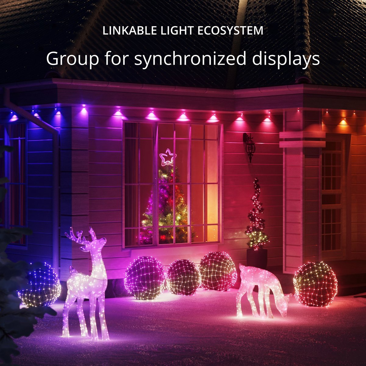 Twinkly Strings Lichtsnoer - 60M - LED - 750LED RGB - Dimbaar - Binnen & Buiten - Bluetooth of Wifi - Werkt met Homekit, Homey, Google Home en Razer Chroma - Zwart – foto 2